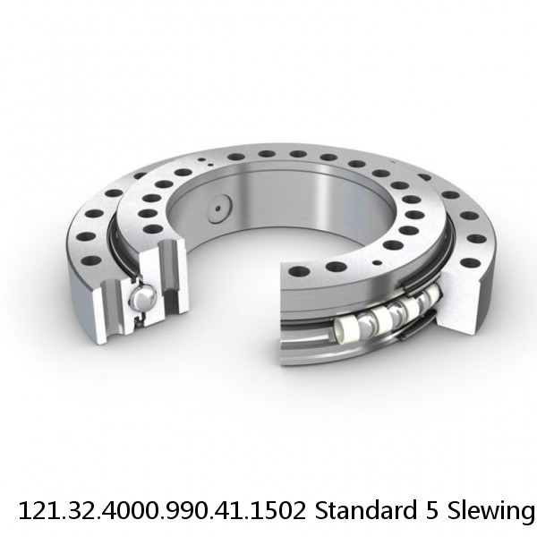 121.32.4000.990.41.1502 Standard 5 Slewing Ring Bearings