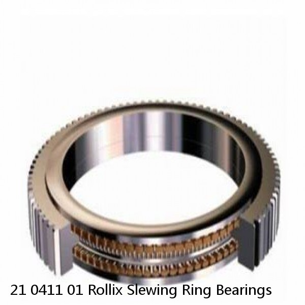 21 0411 01 Rollix Slewing Ring Bearings