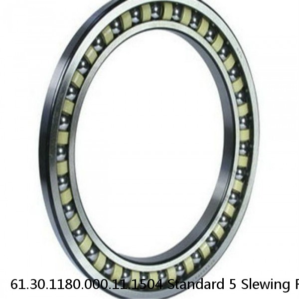 61.30.1180.000.11.1504 Standard 5 Slewing Ring Bearings