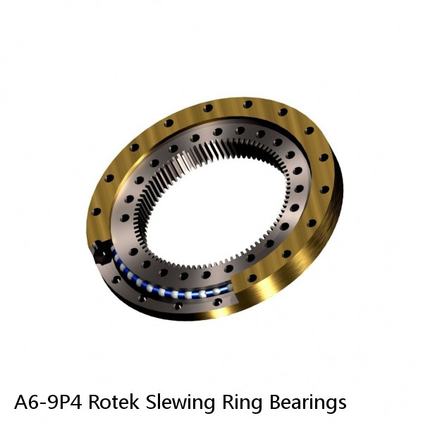 A6-9P4 Rotek Slewing Ring Bearings