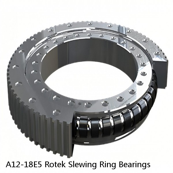 A12-18E5 Rotek Slewing Ring Bearings