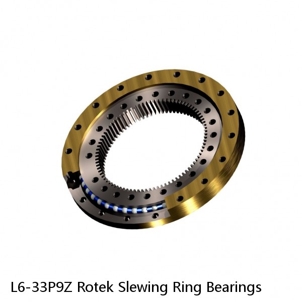 L6-33P9Z Rotek Slewing Ring Bearings