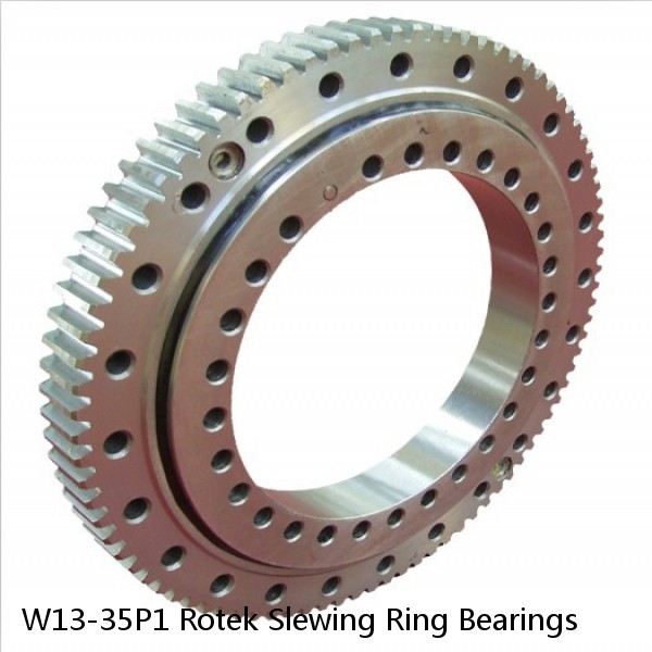 W13-35P1 Rotek Slewing Ring Bearings