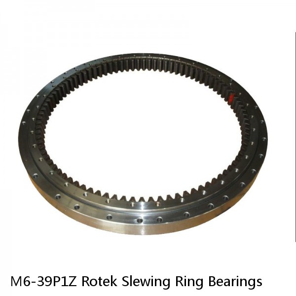 M6-39P1Z Rotek Slewing Ring Bearings