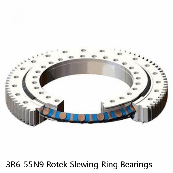 3R6-55N9 Rotek Slewing Ring Bearings