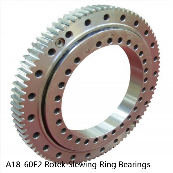 A18-60E2 Rotek Slewing Ring Bearings