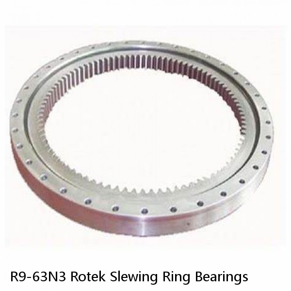 R9-63N3 Rotek Slewing Ring Bearings