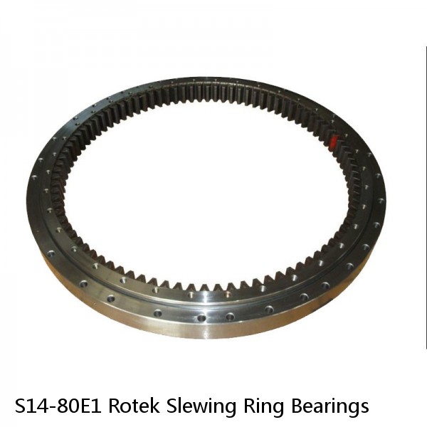 S14-80E1 Rotek Slewing Ring Bearings