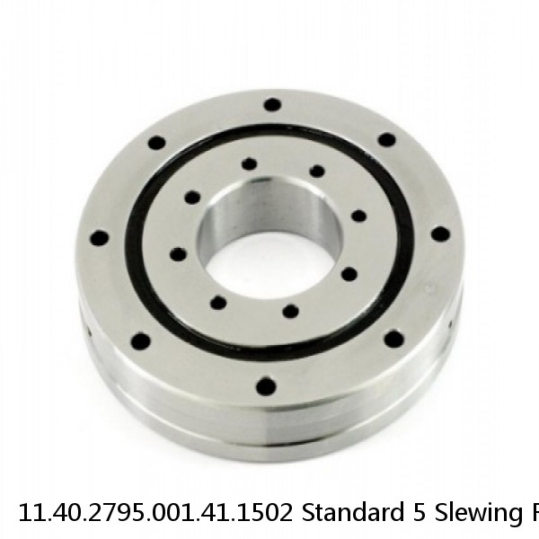 11.40.2795.001.41.1502 Standard 5 Slewing Ring Bearings