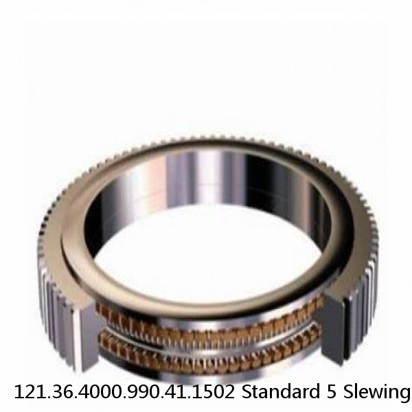 121.36.4000.990.41.1502 Standard 5 Slewing Ring Bearings