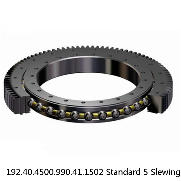 192.40.4500.990.41.1502 Standard 5 Slewing Ring Bearings