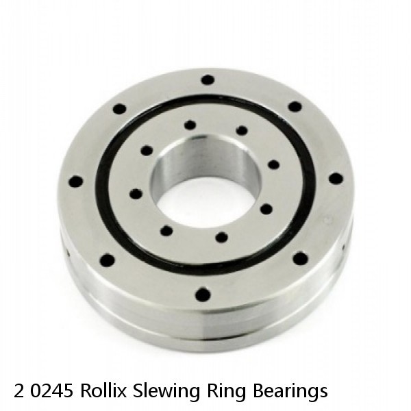 2 0245 Rollix Slewing Ring Bearings