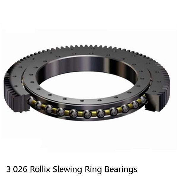 3 026 Rollix Slewing Ring Bearings