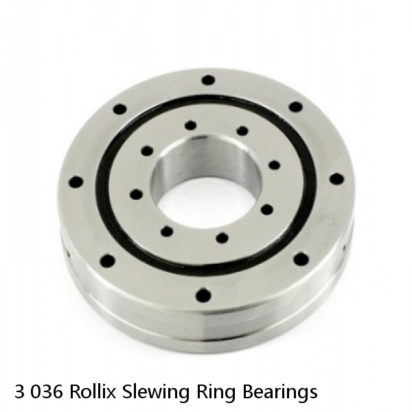 3 036 Rollix Slewing Ring Bearings