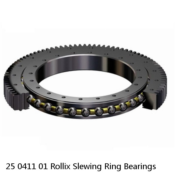 25 0411 01 Rollix Slewing Ring Bearings