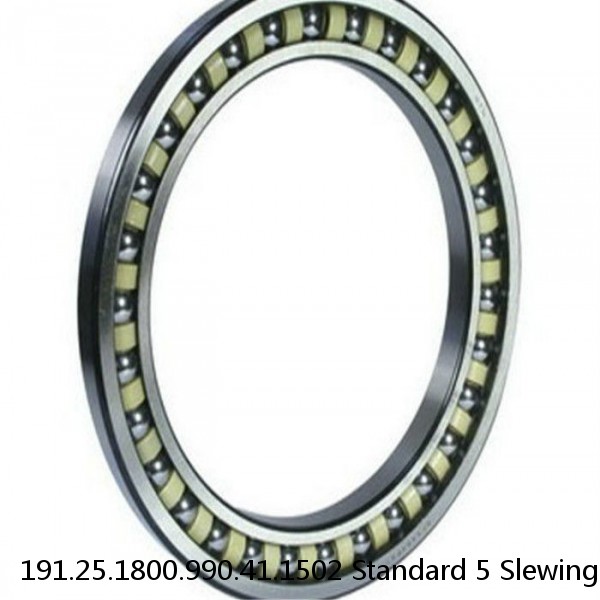 191.25.1800.990.41.1502 Standard 5 Slewing Ring Bearings