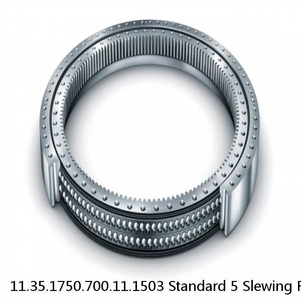 11.35.1750.700.11.1503 Standard 5 Slewing Ring Bearings