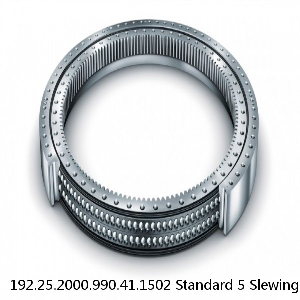 192.25.2000.990.41.1502 Standard 5 Slewing Ring Bearings