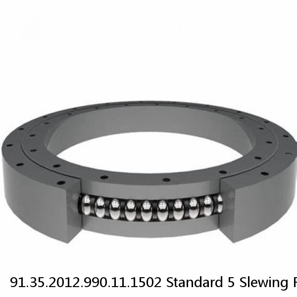 91.35.2012.990.11.1502 Standard 5 Slewing Ring Bearings