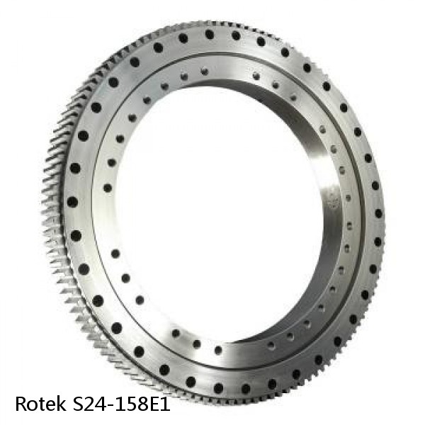 S24-158E1 Rotek Slewing Ring Bearings