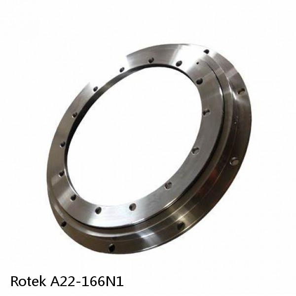 A22-166N1 Rotek Slewing Ring Bearings