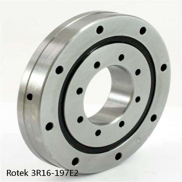 3R16-197E2 Rotek Slewing Ring Bearings