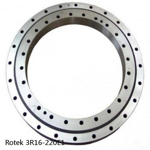 3R16-220E1 Rotek Slewing Ring Bearings