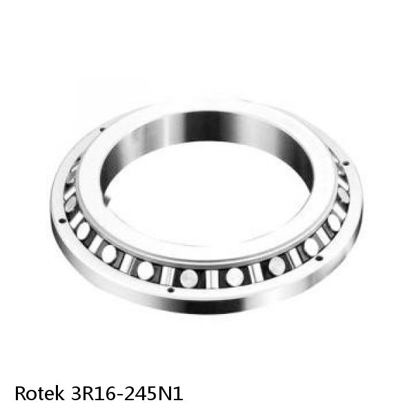 3R16-245N1 Rotek Slewing Ring Bearings