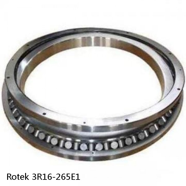 3R16-265E1 Rotek Slewing Ring Bearings