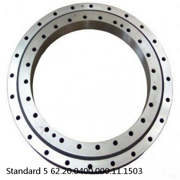 62.20.0400.000.11.1503 Standard 5 Slewing Ring Bearings