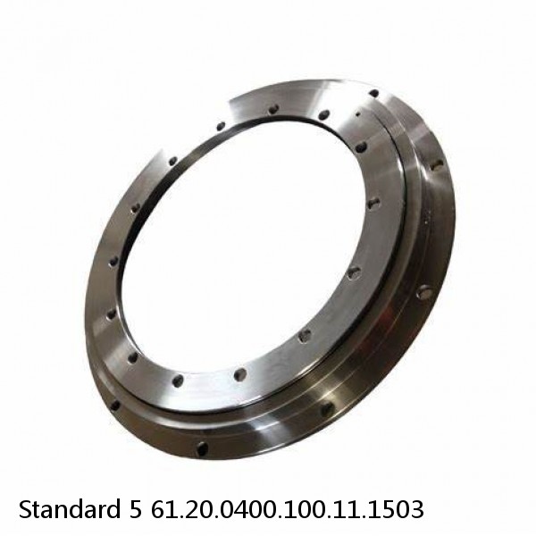 61.20.0400.100.11.1503 Standard 5 Slewing Ring Bearings