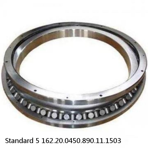 162.20.0450.890.11.1503 Standard 5 Slewing Ring Bearings