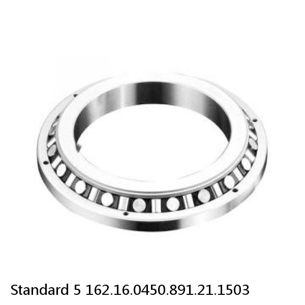 162.16.0450.891.21.1503 Standard 5 Slewing Ring Bearings