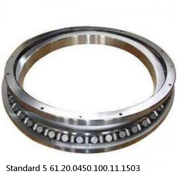 61.20.0450.100.11.1503 Standard 5 Slewing Ring Bearings