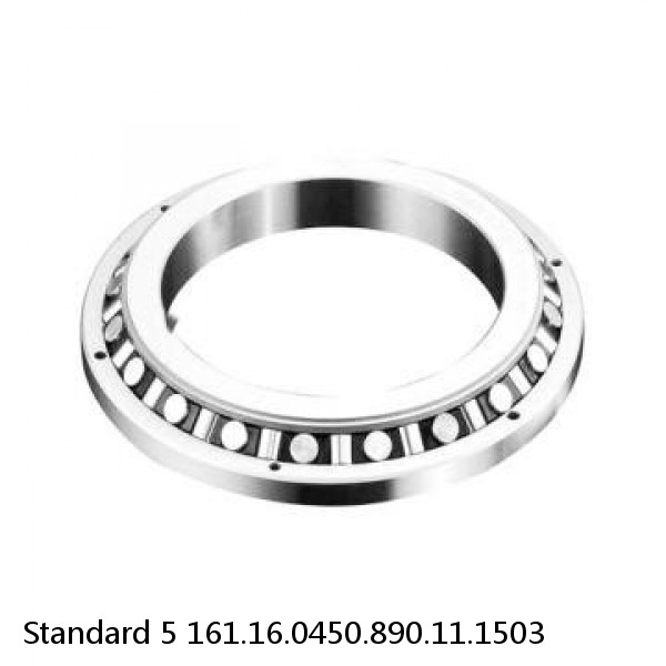 161.16.0450.890.11.1503 Standard 5 Slewing Ring Bearings