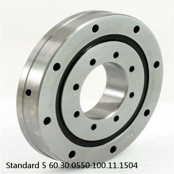 60.30.0550.100.11.1504 Standard 5 Slewing Ring Bearings