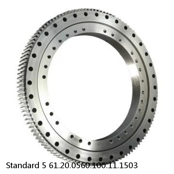 61.20.0560.100.11.1503 Standard 5 Slewing Ring Bearings