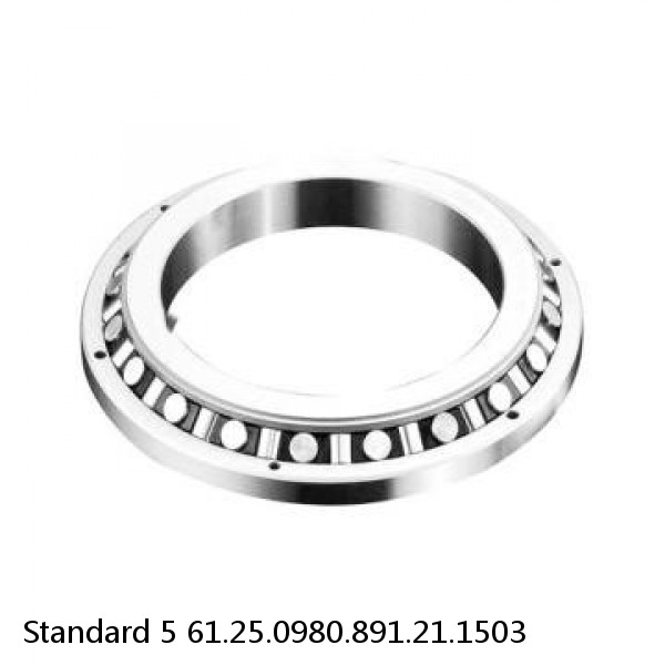 61.25.0980.891.21.1503 Standard 5 Slewing Ring Bearings