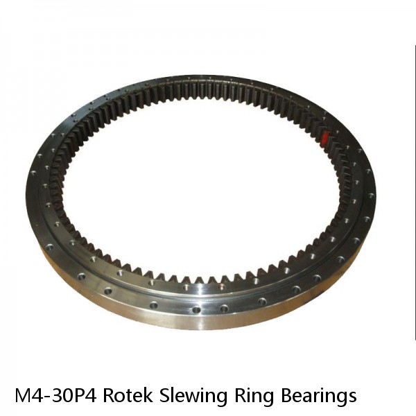 M4-30P4 Rotek Slewing Ring Bearings