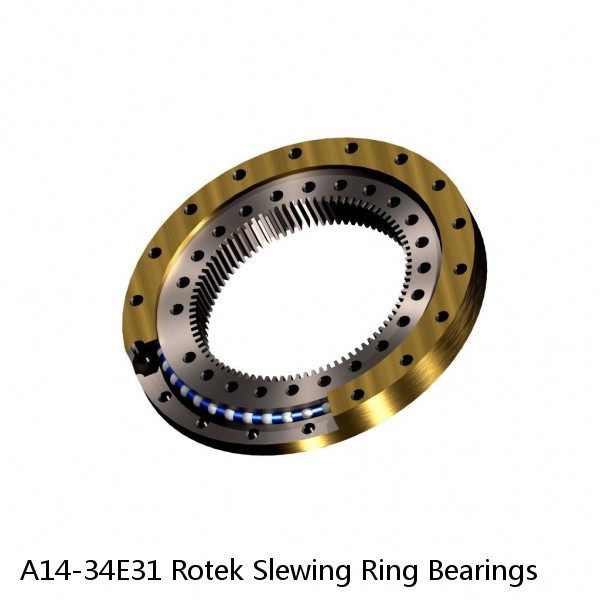 A14-34E31 Rotek Slewing Ring Bearings