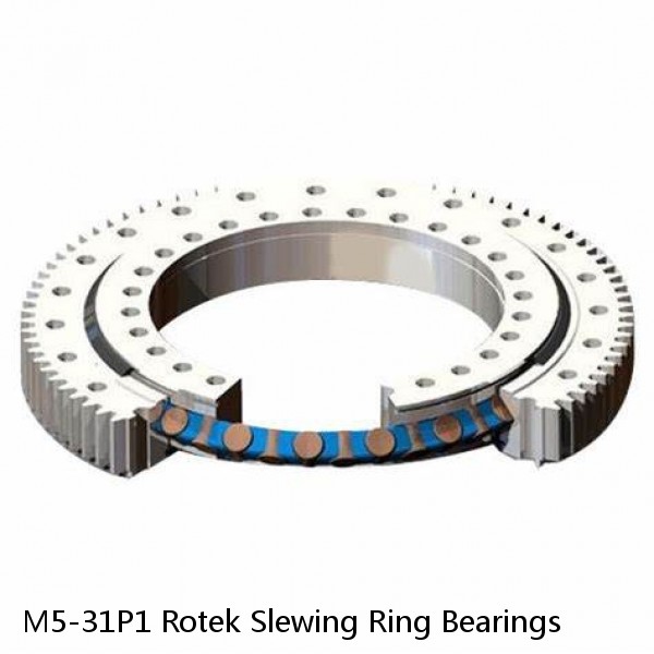 M5-31P1 Rotek Slewing Ring Bearings