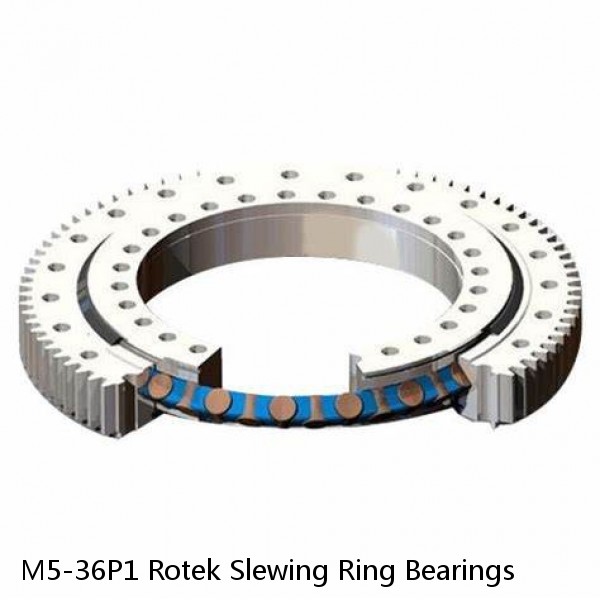 M5-36P1 Rotek Slewing Ring Bearings