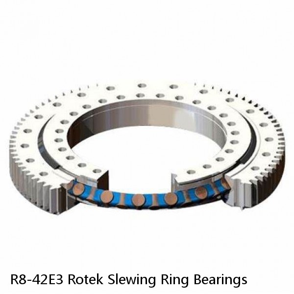 R8-42E3 Rotek Slewing Ring Bearings