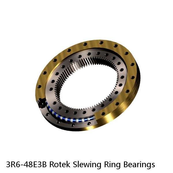 3R6-48E3B Rotek Slewing Ring Bearings