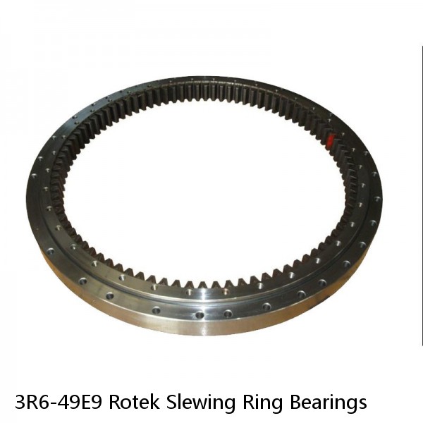 3R6-49E9 Rotek Slewing Ring Bearings