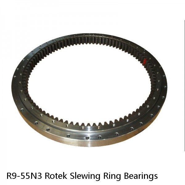 R9-55N3 Rotek Slewing Ring Bearings