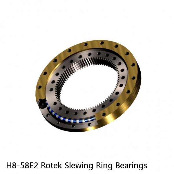 H8-58E2 Rotek Slewing Ring Bearings