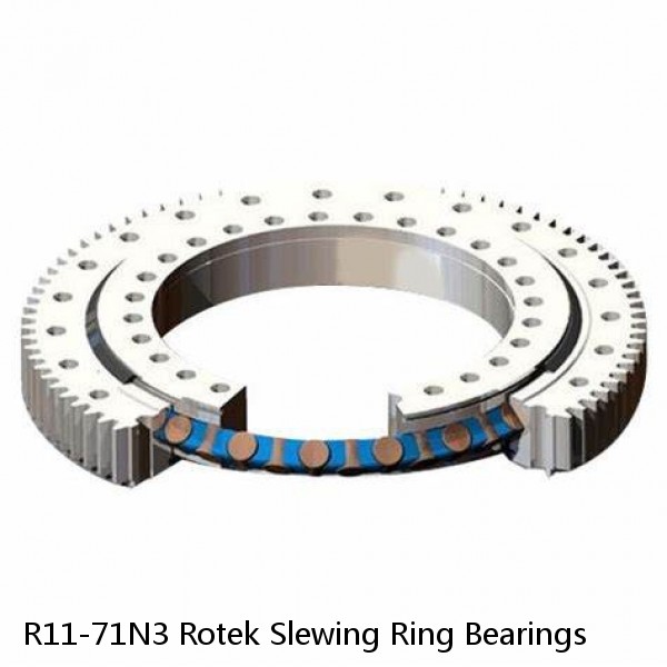 R11-71N3 Rotek Slewing Ring Bearings