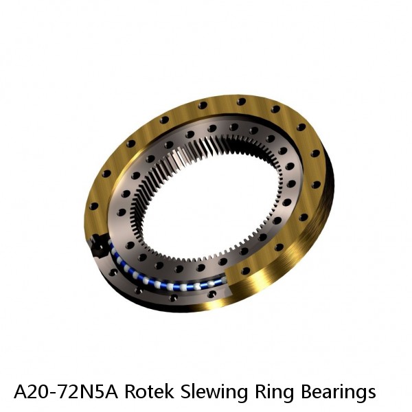 A20-72N5A Rotek Slewing Ring Bearings