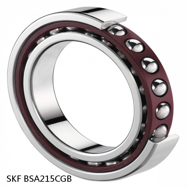 BSA215CGB SKF Brands,All Brands,SKF,Super Precision Angular Contact Thrust,BSA